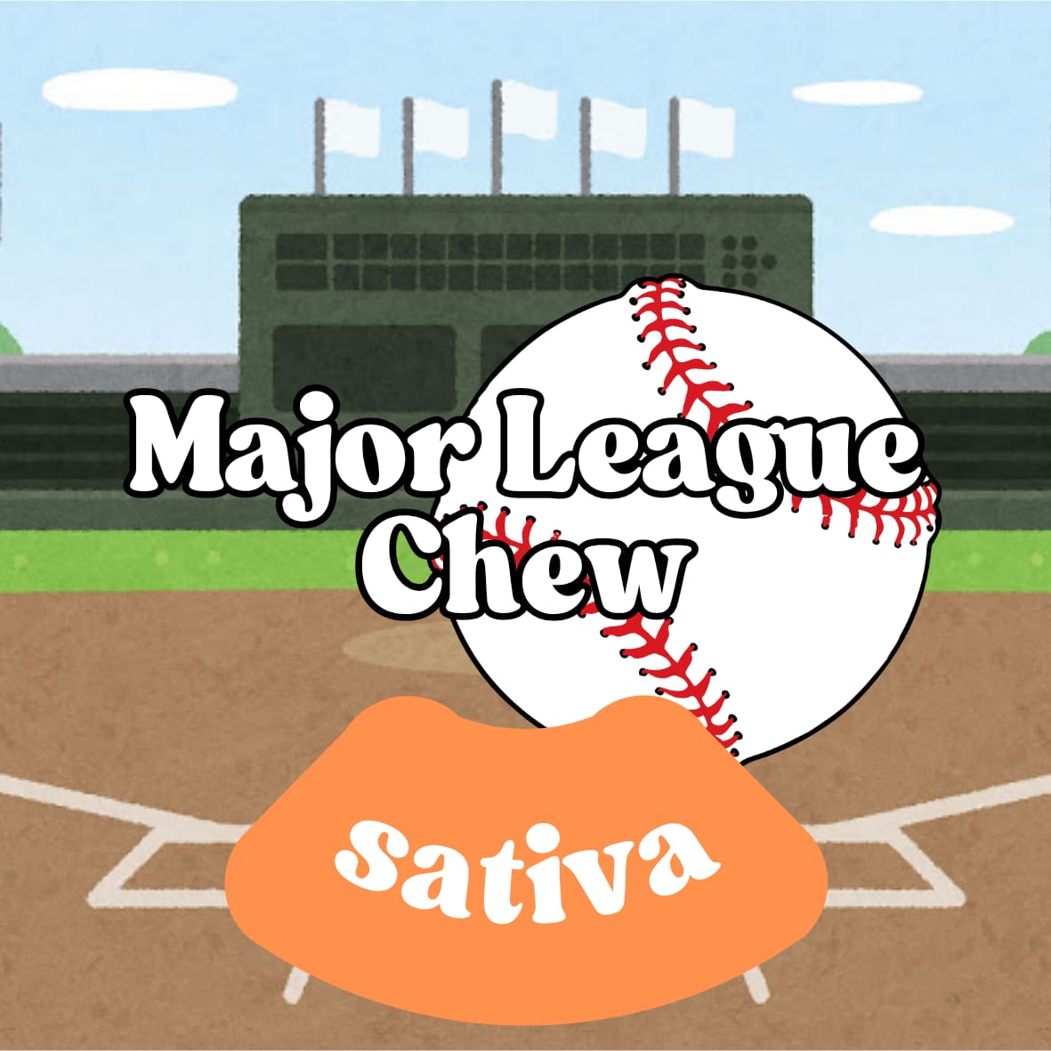 Chronic Clouds 3.5g THC-A Flower