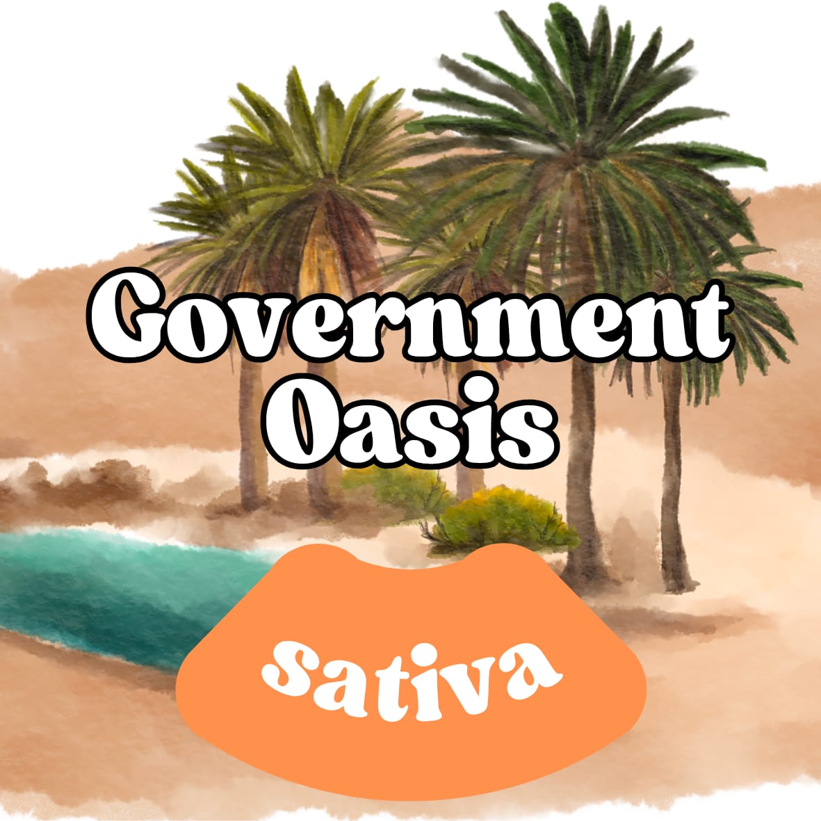 Chronic Clouds 3.5g THC-A Flower