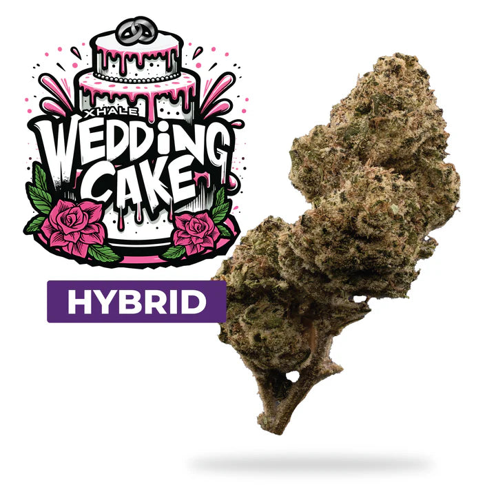 Xhale Premium THCa Flower – 3.5 Grams