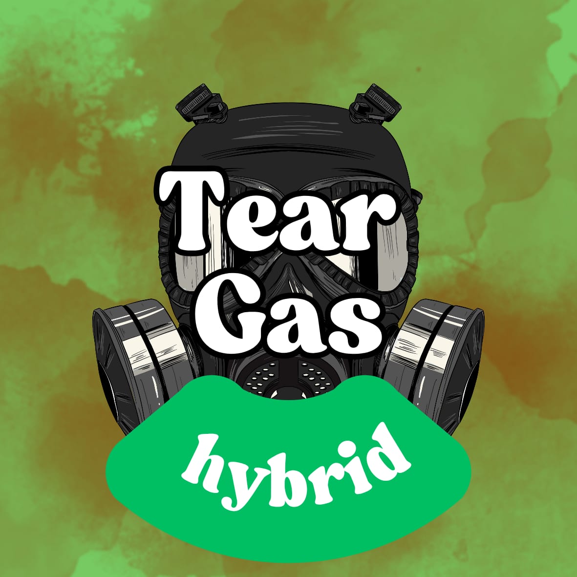 Chronic Clouds 3.5g THC-A Flower