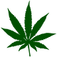 DELTA 8/ HEMP