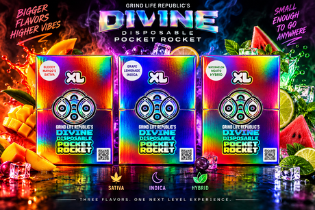 XL Divine Disposable Pocket Rocket 2G 10 count display  – 3 Flavor Collection