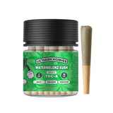 Hidden Hills Lil Hash Homies 10 Pack Jar 1g THC-A Pre Roll