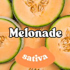 Chronic Clouds 3.5g THC-A Flower