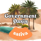 Chronic Clouds 3.5g THC-A Flower