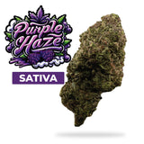 Xhale Premium THCa Flower – 3.5 Grams