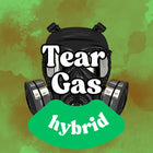 Chronic Clouds 3.5g THC-A Flower